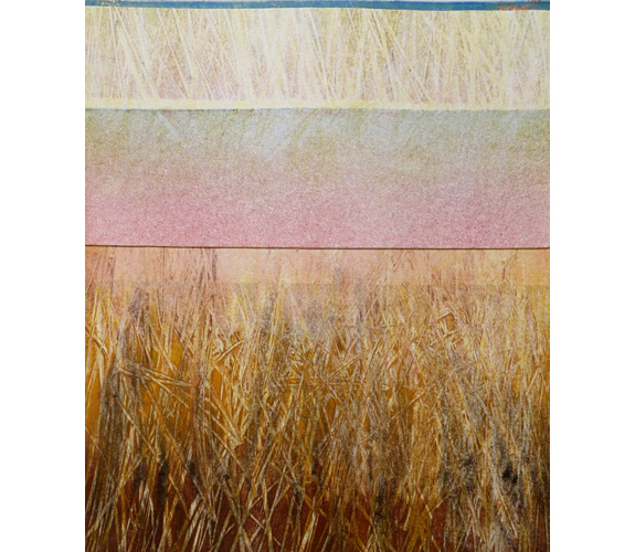 Susan Aurand - Morning Fields 9